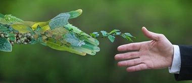 circular-economy-the-principle-pointing-us-to-a-greener-future