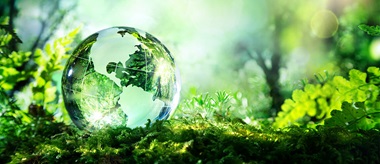 digital-transformation-sustainability