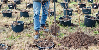 sustainable-developments-goals